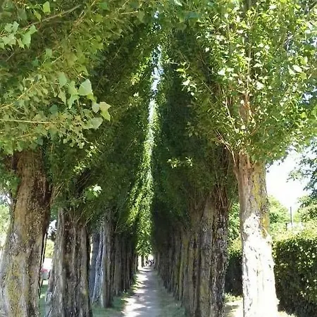 Des Impressionnistes * Honfleur